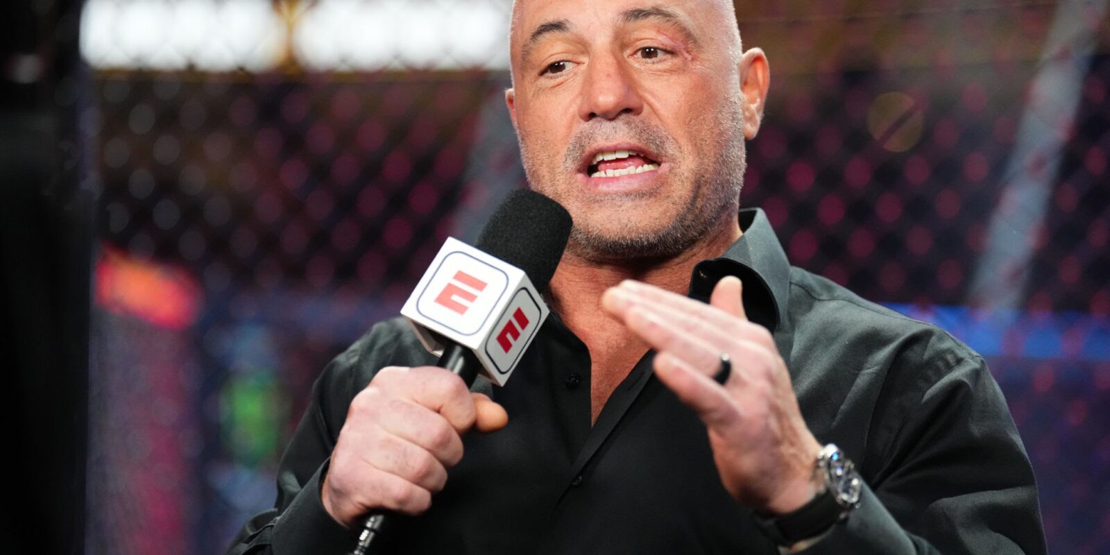 LAS VEGAS, NEVADA - JULY 08: Joe Rogan announces the fight during the UFC 290 event at T-Mobile Arena on July 08, 2023 in Las Vegas, Nevada. (Photo by Chris Unger/Zuffa LLC via Getty Images)